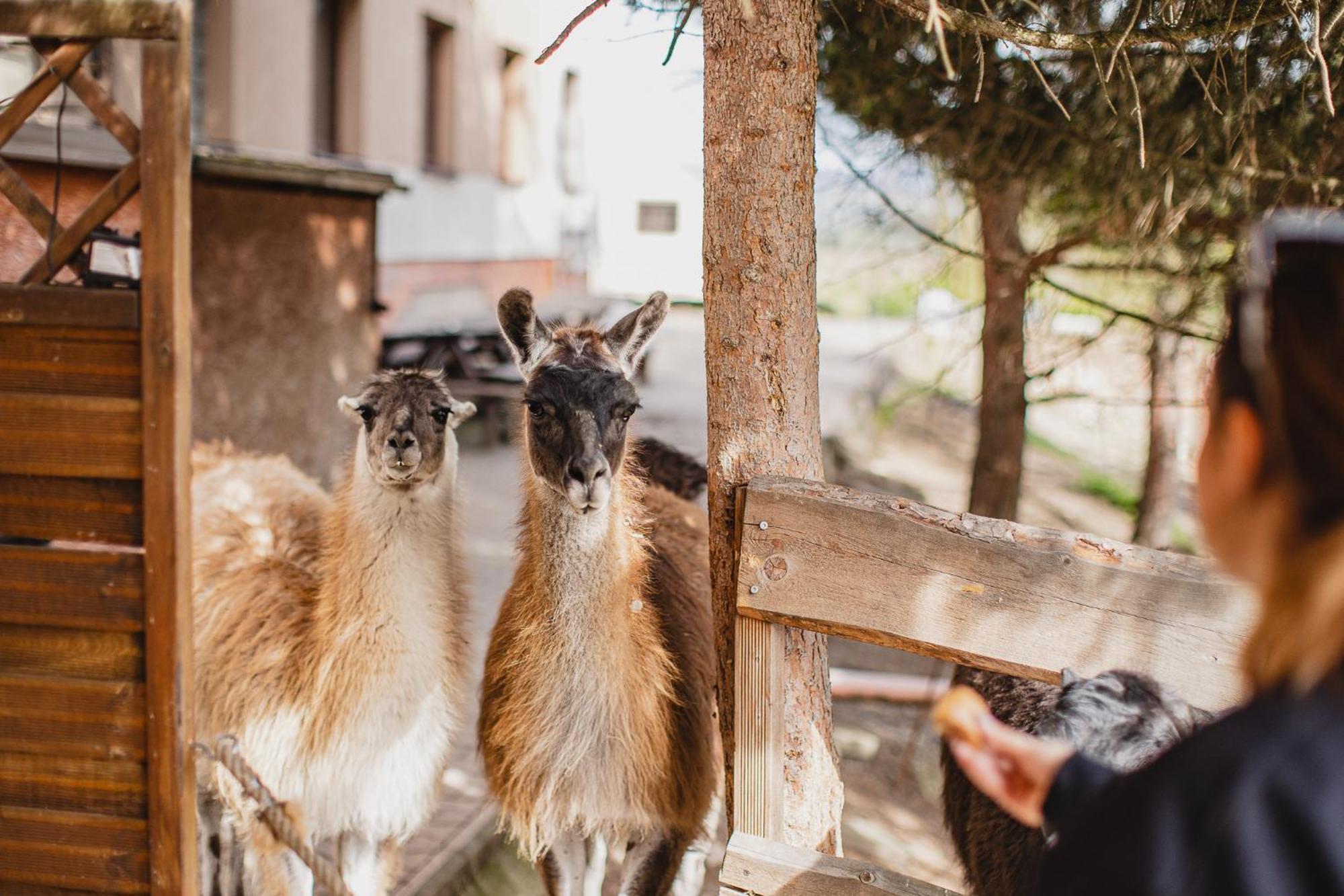Hotel Rozkos Česká Skalice Exteriör bild