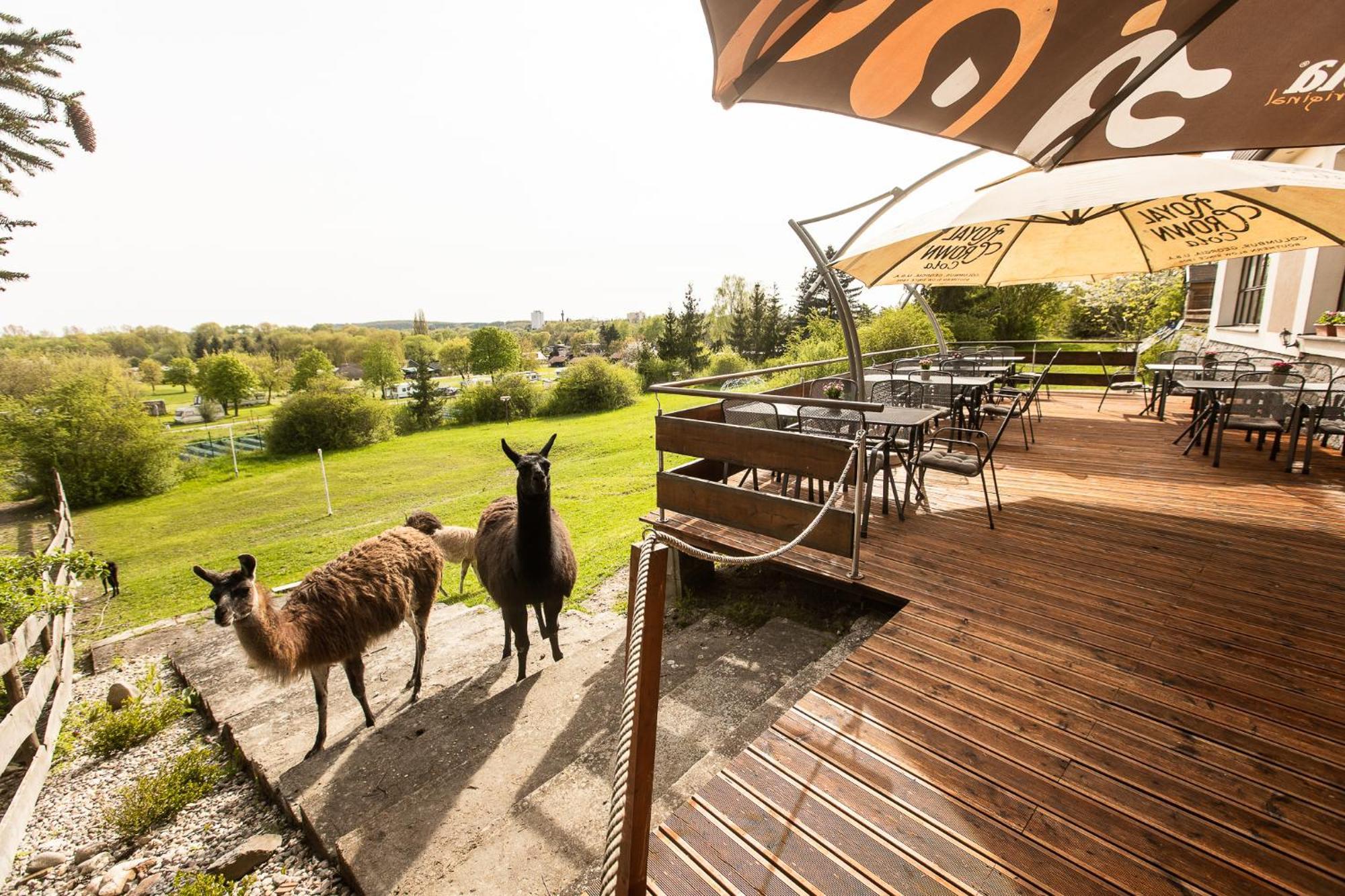 Hotel Rozkos Česká Skalice Exteriör bild